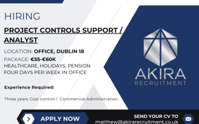 Project Controls Support / Analyst – Dublin 18.